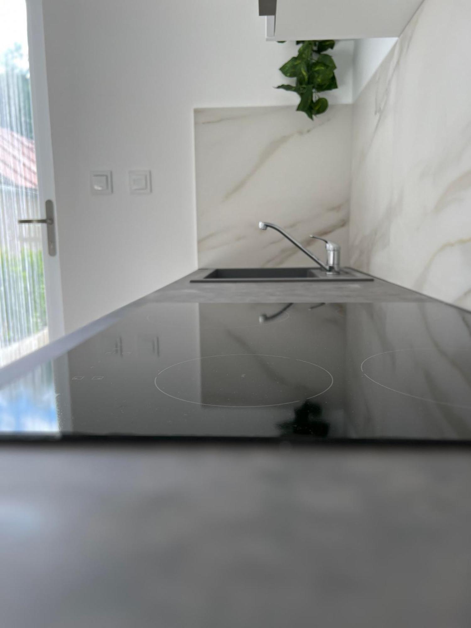 2 Moderne Apartmany 19 A 95 V Sukromi V Centre Mesta Turčianske Teplice Eksteriør billede
